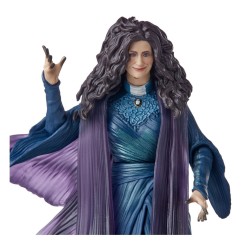 WandaVision Marvel  Legends - Figurine Agatha Harkness (BAF: Hydra Stomper) 15 cm
