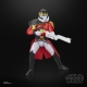 Star Wars Black Series - Figurine Purge Trooper (Holiday Edition) 15 cm