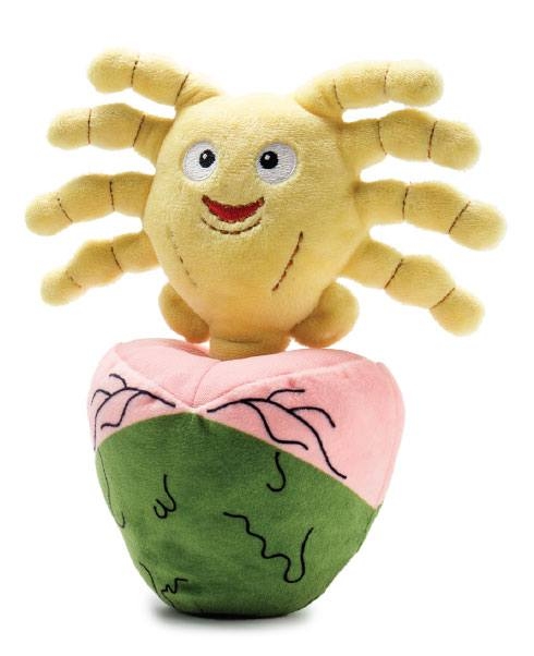 Alien Covenant Peluche Phunny Facehugger Egg 16 cm Figurine Discount