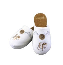 Harry Potter - Chaussons Golden Snitch (M)