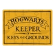 Harry Potter - Panneau métal Keeper of Keys 21 x 15 cm