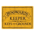 Harry Potter - Panneau métal Keeper of Keys 21 x 15 cm