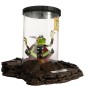 Loki - Statuette 1/1 Frog of Thunder 26 cm Loki - Statuette 1/1 Frog of Thunder 26 cm