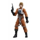 Star Wars Black Series Archive - Figurine Luke Skywalker 15 cm