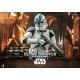 Star Wars : Obi-Wan Kenobi - Figurine 1/6 501st Legion Clone Trooper 30 cm