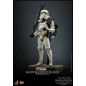Star Wars : Episode IV - Figurine 1/6 Sandtrooper Sergeant 30 cm