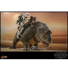 Star Wars : Episode IV - Figurine 1/6 Sandtrooper Sergeant 30 cm