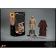 Star Wars : Episode II - Figurine 1/6 Mace Windu 32 cm