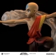 Avatar, le dernier maître de l'air - Statuette Aang & Momo 30 cm