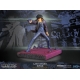 Cowboy Bebop - Statuette Last Stand Spike 28 cm