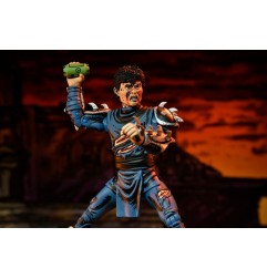 Les Tortues Ninja (Mirage Comics) - Figurine Battle Damaged Shredder 18 cm