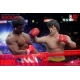 Rocky II - Statuette 1/6 Rocky Normal Version 30 cm