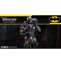 DC Comics - Buste Batman & Catwoman 30 cm