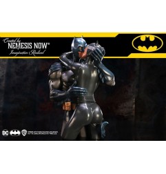 DC Comics - Buste Batman & Catwoman 30 cm