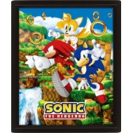 Sonic The Hedgehog - Poster effet 3D Catching Rings 26 x 20 cm