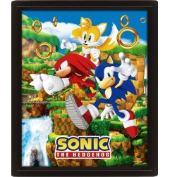 Sonic The Hedgehog - Poster effet 3D Catching Rings 26 x 20 cm