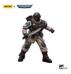 Warhammer - 40k figurine 1/18 Astra Militarum Cadian Command Squad Veteran with Regimental Standard 12 cm
