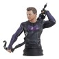 Marvel - Hawkeye buste 1/6 Hawkeye 15 cm Marvel - Hawkeye buste 1/6 Hawkeye 15 cm