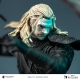 The Witcher 3 - Statuette Geralt vs. Kikimora 21 cm