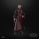 Star Wars Episode I Black Series - Figurine Padmé Amidala 15 cm