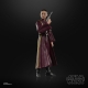 Star Wars Episode I Black Series - Figurine Padmé Amidala 15 cm