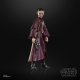 Star Wars Episode I Black Series - Figurine Padmé Amidala 15 cm