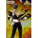 Power Rangers Mighty Morphin - Figurine FigZero 1/6 Dragon Shield Black Ranger 35 cm