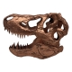 Jurassic Park - Réplique mini T-Rex Skull 10 cm