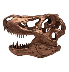 Jurassic Park - Réplique mini T-Rex Skull 10 cm