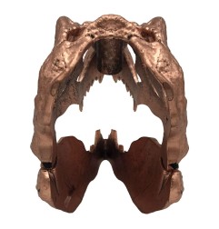 Jurassic Park - Réplique mini T-Rex Skull 10 cm