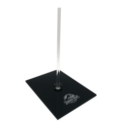 Jurassic Park - Réplique mini T-Rex Skull 10 cm