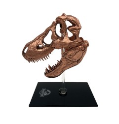 Jurassic Park - Réplique mini T-Rex Skull 10 cm