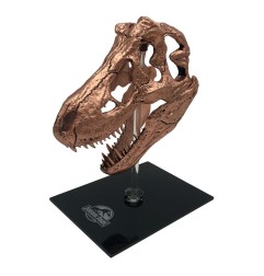 Jurassic Park - Réplique mini T-Rex Skull 10 cm