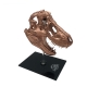 Jurassic Park - Réplique mini T-Rex Skull 10 cm