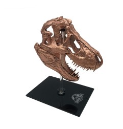 Jurassic Park - Réplique mini T-Rex Skull 10 cm