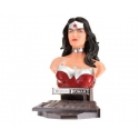 Justice League - Puzzle 3D Wonder Woman