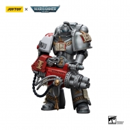 Warhammer 40k - Figurine 1/18 Grey Knights Strike Squad Grey Knight with Psilencer 12 cm