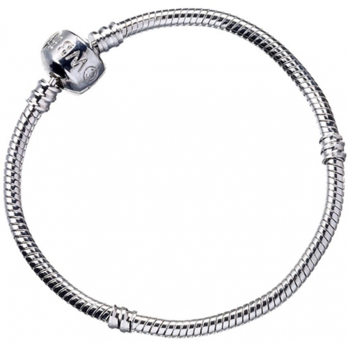 Harry Potter - Bracelet pour breloques plaqué argent Slider Charm (M)