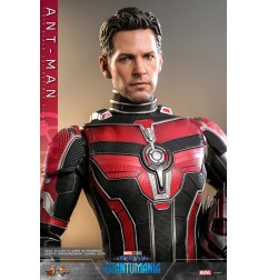 Marvel - Ant-Man & The Wasp: Quantumania figurine Movie Masterpiece 1/6 Ant-Man 30 cm