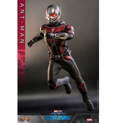 Marvel - Ant-Man & The Wasp: Quantumania figurine Movie Masterpiece 1/6 Ant-Man 30 cm
