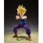 Dragon Ball Z - Figurine S.H. Figuarts Super Saiyan Son Gohan The Warrior Who Surpassed Goku 11 cm