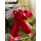 Inuyasha - Statuette Tenitol Inuyasha 18 cm