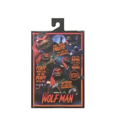 Universal Monsters X Teenage Mutant Ninja Turtles - Figurine Ultimate Raphael as The Wolfman 18 cm