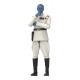 Star Wars : Ahsoka Black Series - Figurine Grand Admiral Thrawn 15 cm