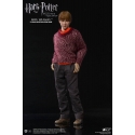 Harry Potter - Figurine 1/6 Ron Weasley Deluxe Ver. 29 cm - My Favourite Movie