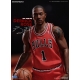 NBA Collection - Figurine Real Masterpiece 1/6 Derrick Rose Limited Retro Edition 30 cm