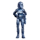 Star Wars Episode VI Black Series Carbonized - Pack 2 figurines Emperor's Royal Guard & TIE Fighter Pilot Exclusive 15 cm