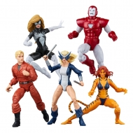 Marvel Legends - Pack 5 figurines The West Coast Avengers Exclusive 15 cm