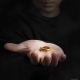 Le Seigneur des Anneaux - Pendentif et collier The one Ring