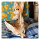 Youtooz Original - Peluche Fennec Fox 22 cm